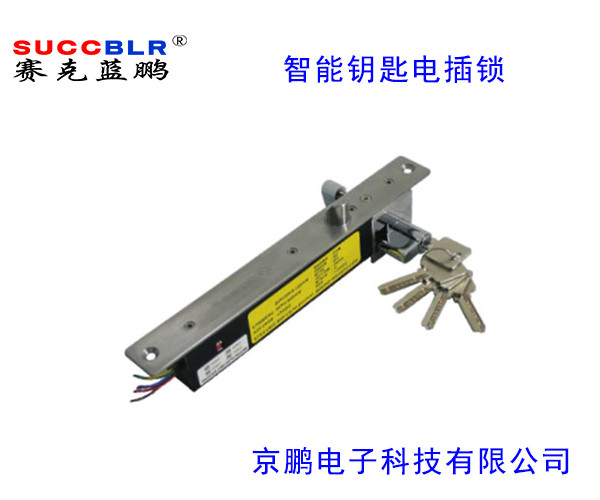 【智能鑰匙型電插鎖】賽克藍鵬SUCCBLR智能鑰匙型電（diàn）插鎖SL-S203DW